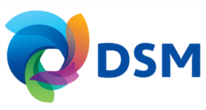 巍川环保&mdash;&mdash;荷兰皇家帝斯曼集团